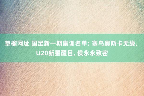 草榴网址 国足新一期集训名单: 塞鸟奥斯卡无缘， U20新星醒目， 侯永永致密