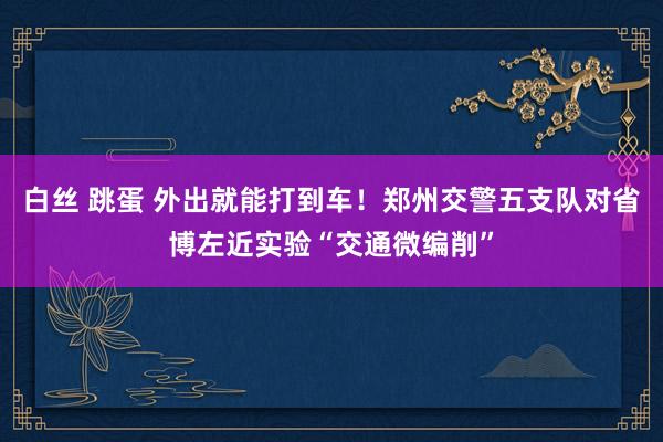 白丝 跳蛋 外出就能打到车！郑州交警五支队对省博左近实验“交通微编削”