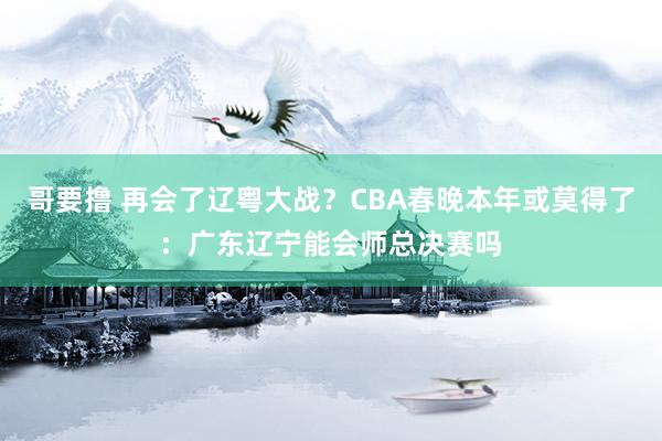 哥要撸 再会了辽粤大战？CBA春晚本年或莫得了：广东辽宁能会师总决赛吗