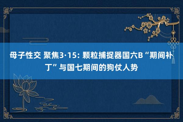 母子性交 聚焦3·15: 颗粒捕捉器国六B“期间补丁”与国七期间的狗仗人势