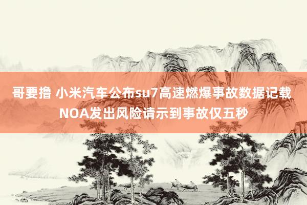 哥要撸 小米汽车公布su7高速燃爆事故数据记载 NOA发出风险请示到事故仅五秒