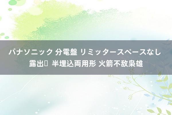 パナソニック 分電盤 リミッタースペースなし 露出・半埋込両用形 火箭不敌枭雄