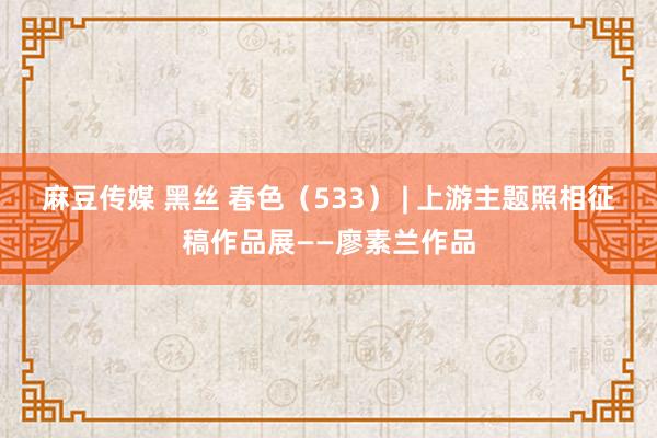 麻豆传媒 黑丝 春色（533） | 上游主题照相征稿作品展——廖素兰作品