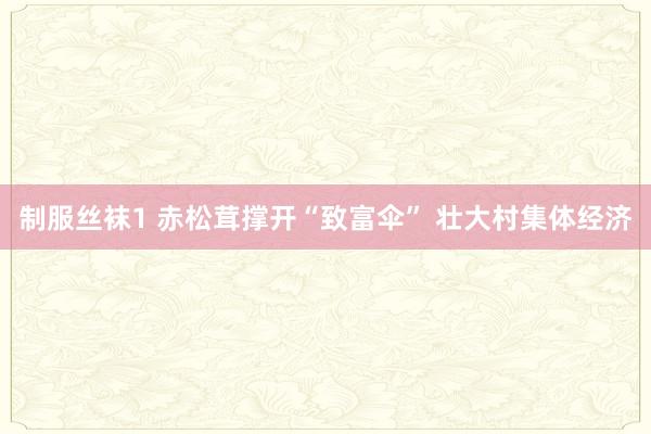 制服丝袜1 赤松茸撑开“致富伞” 壮大村集体经济