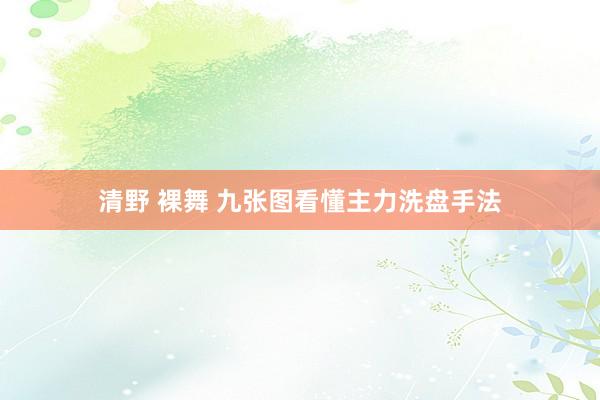 清野 裸舞 九张图看懂主力洗盘手法