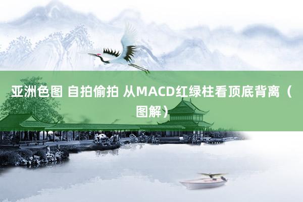 亚洲色图 自拍偷拍 从MACD红绿柱看顶底背离（图解）
