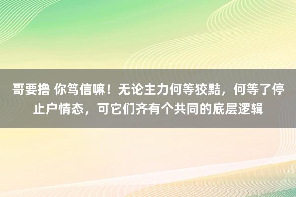 哥要撸 你笃信嘛!无论主力何等狡黠,何等了停止户情态,可它们齐有个共同的底层逻辑