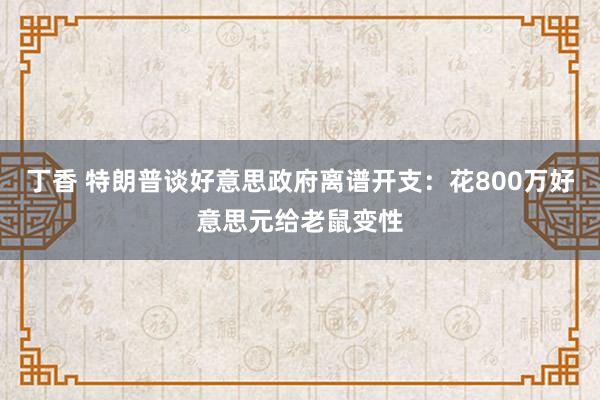 丁香 特朗普谈好意思政府离谱开支：花800万好意思元给老鼠变性